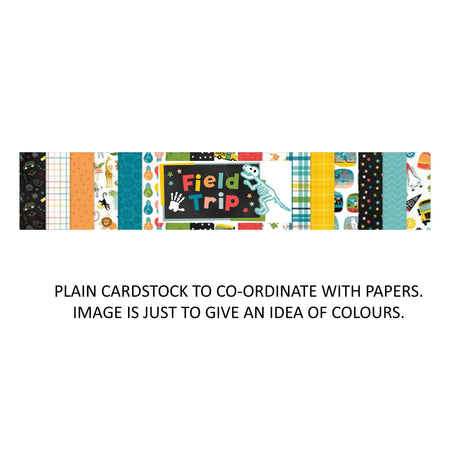 Echo Park Field Trip - Bazzill Matchmaker Pack