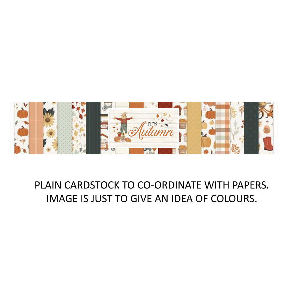 Carta Bella It's Autumn - Bazzill Matchmaker Pack