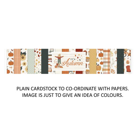 Carta Bella Pressed Floral - Bazzill Matchmaker Pack