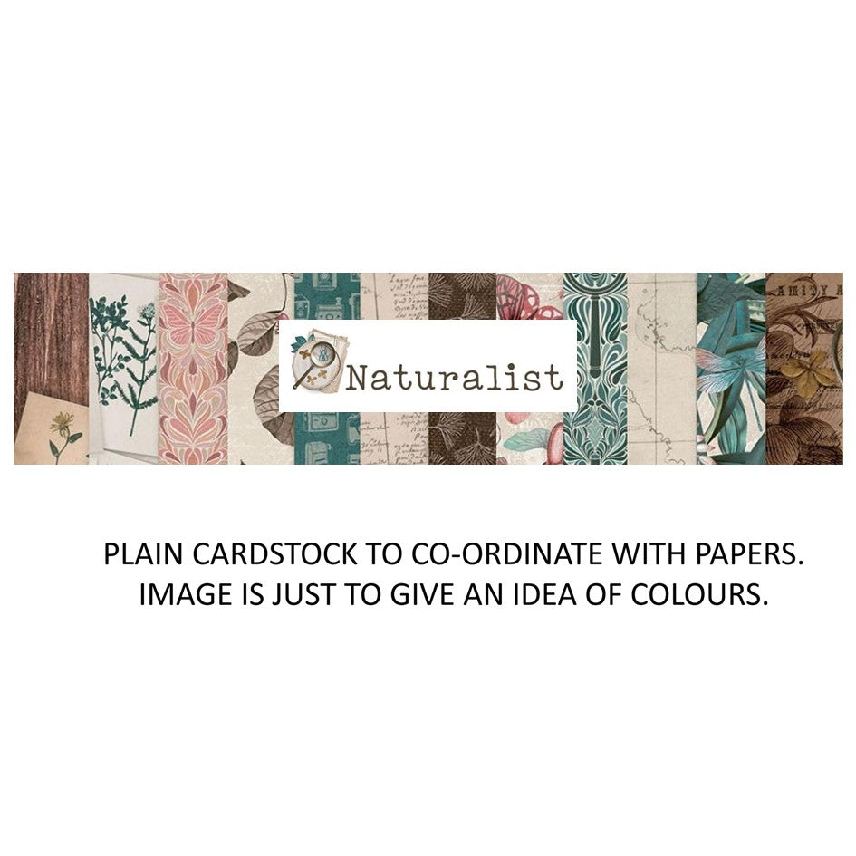 P13 Naturalist - Bazzill Matchmaker Pack