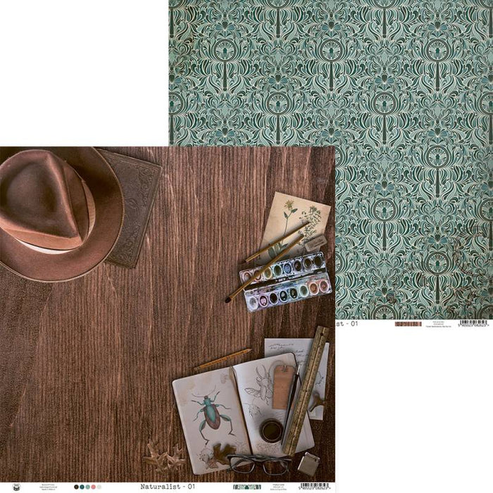 P13 Naturalist - #01