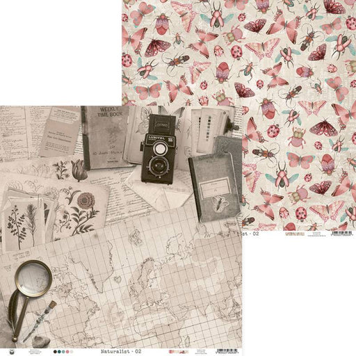 P13 Naturalist - #02