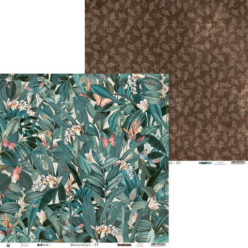 P13 Naturalist - #03