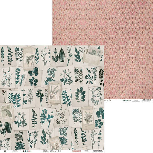 P13 Naturalist - #04