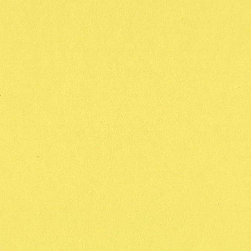 Bazzill 12x12 Card Shoppe Heavyweight Bazzill - Sour Lemon