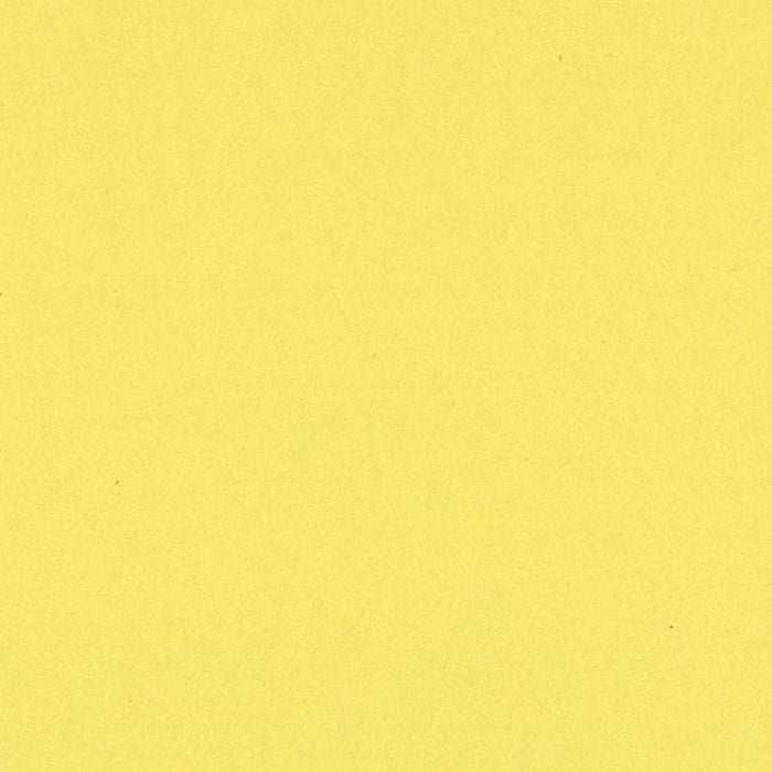 Bazzill 12x12 Card Shoppe Heavyweight Bazzill - Sour Lemon