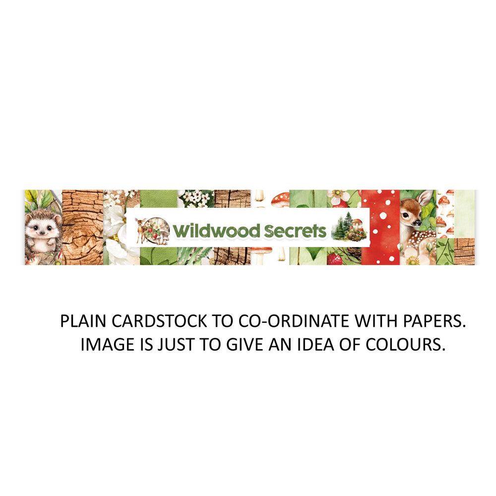 Mintay Papers Wildwood Secrets - Bazzill Matchmaker Pack