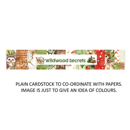 Mintay Papers Wildwood Secrets - Bazzill Matchmaker Pack