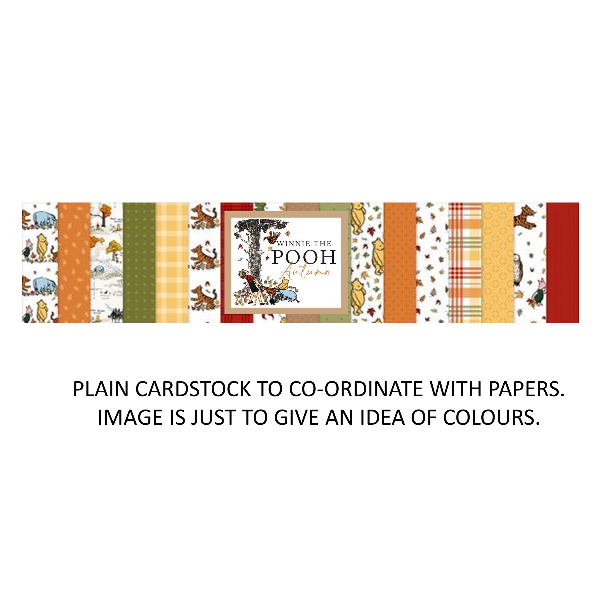 Echo Park Winnie The Pooh Autumn - Bazzill Matchmaker Pack — Papermaze