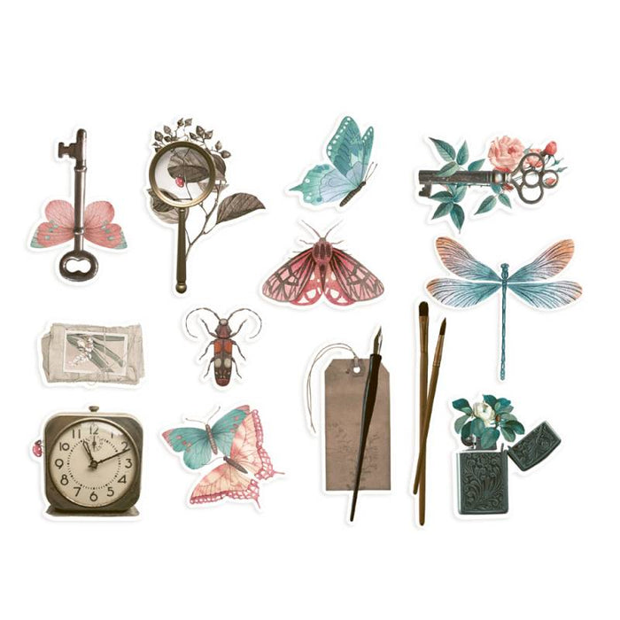 P13 Naturalist - Ephemera Bits & Pieces