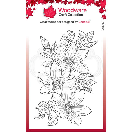 Woodware Clear Magic Singles Stamp - Garden Spray