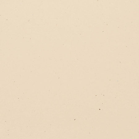 Bazzill Speckle 12x12 Cardstock - Travertine
