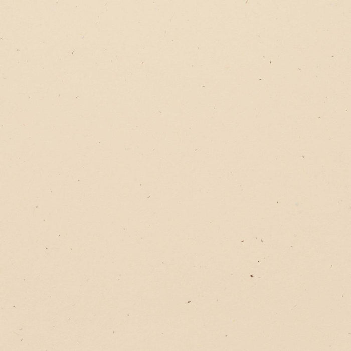 Bazzill Speckle 12x12 Cardstock - Travertine
