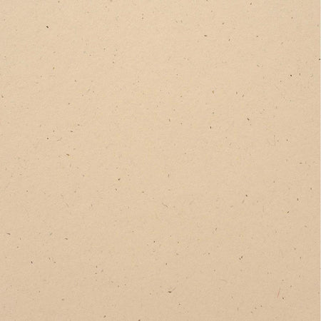 Bazzill Speckle 12x12 Cardstock - Natural Stone