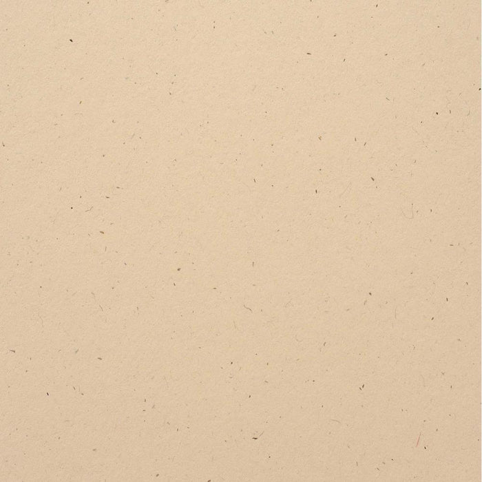 Bazzill Speckle 12x12 Cardstock - Natural Stone