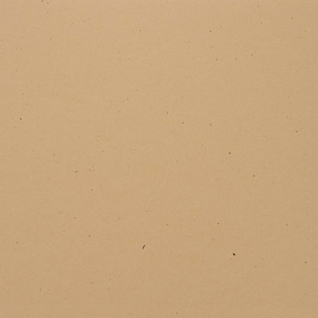 Bazzill Speckle 12x12 Cardstock - Sand Dollar