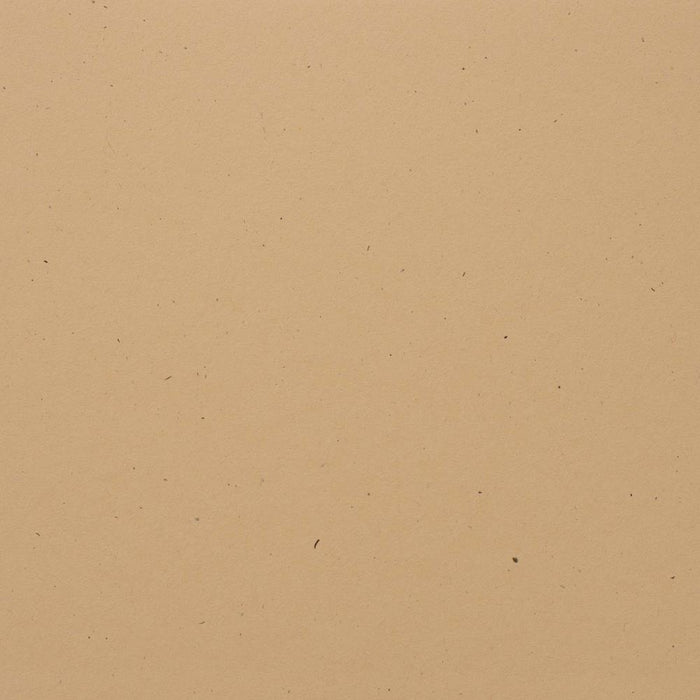 Bazzill Speckle 12x12 Cardstock - Sand Dollar