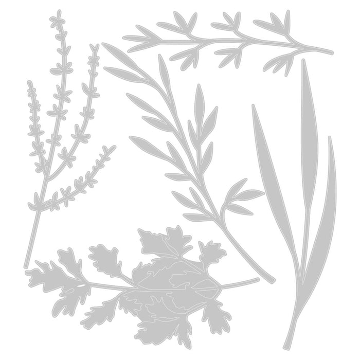 Sizzix Thinlits Die - Woodland Stems
