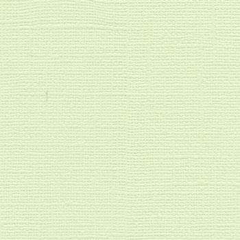 Bazzill 12x12 Aloe Vera