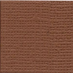 Bazzill 12x12 Cinnamon Stick