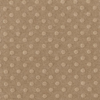 Bazzill 12x12 Dotted Swiss - Mud Puddle