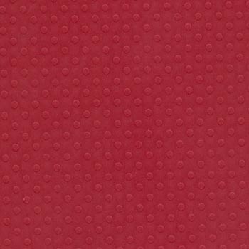 Bazzill 12x12 Dotted Swiss - Phoenix