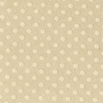 Bazzill 12x12 Dotted Swiss - Rope Swing