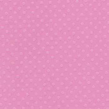 Bazzill 12x12 Dotted Swiss - Slipper