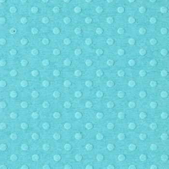 Bazzill 12x12 Dotted Swiss - Tahitian Princess