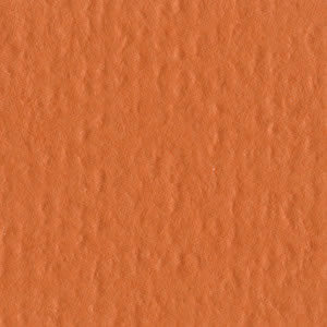 Bazzill 12x12 Hazard