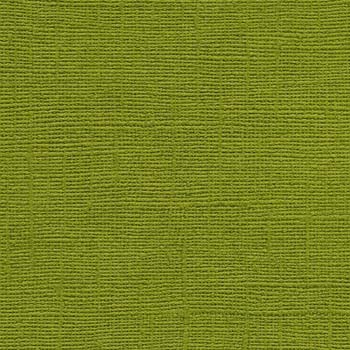 Bazzill 12x12 Hillary