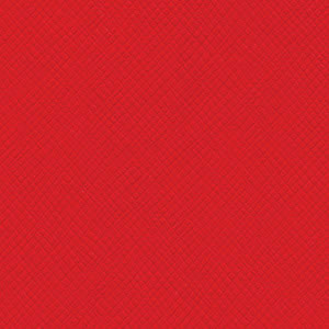 Bazzill 12x12 Kisses