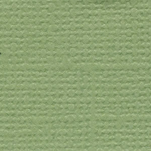 Bazzill 12x12 Lily Pond