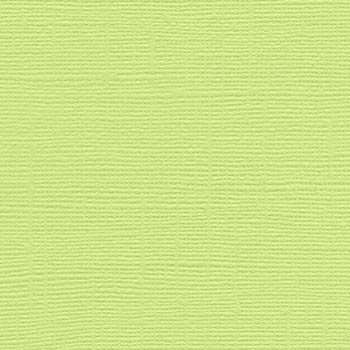 Bazzill 12x12 Limeade