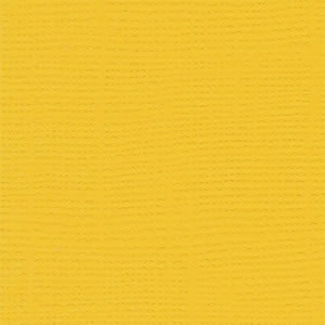 Bazzill 12x12 Mexican Poppy