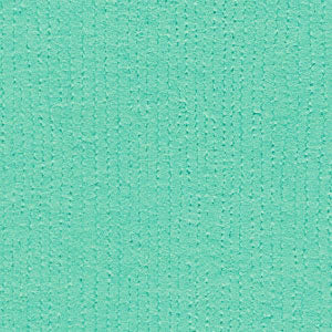 Bazzill 12x12 Navajo