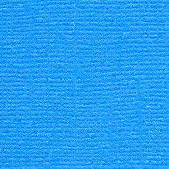 Bazzill 12x12 Pauly Poo