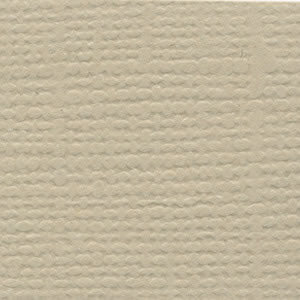 Bazzill 12x12 Quick Sand