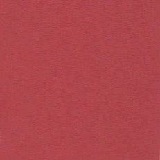 Bazzill 12x12 Red Rock