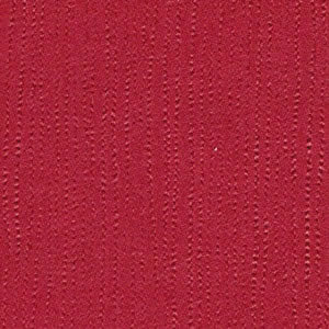 Bazzill 12x12 Ruby Slipper