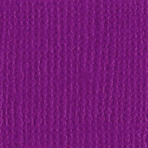 Bazzill 12x12 Velvet