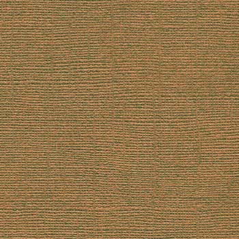 Bazzill 12x12 Walnut