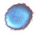 Cosmic Shimmer Embossing Powder - Blue Maroon Aurora