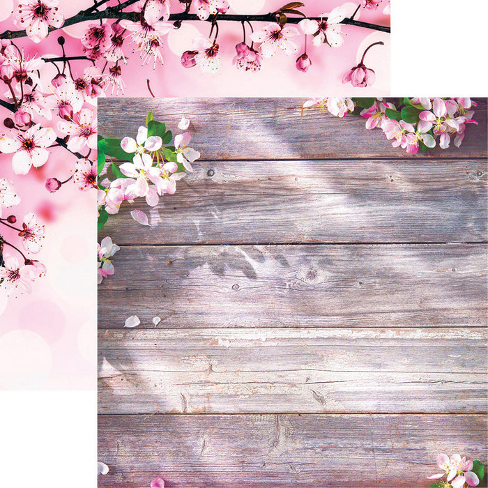 Reminisce Springtime - Apple Blossoms