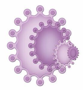 Spellbinders Nestabilities - Crown Ovals