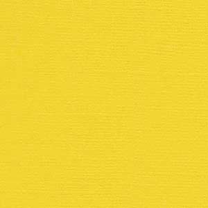 Bazzill 12x12 African Daisy