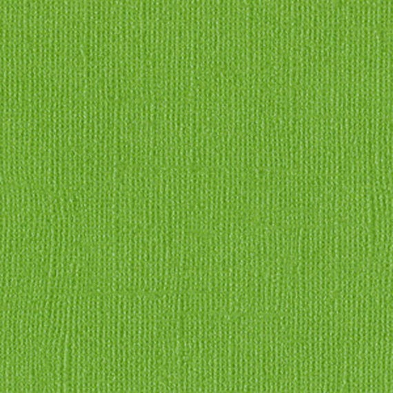 Bazzill Basics 12x12 Bazzill Bling - Bank Roll