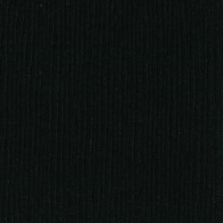 Bazzill 12x12 Blackbird