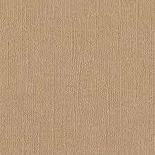 Bazzill Basics 12x12 Bazzill Bling - Blank Check