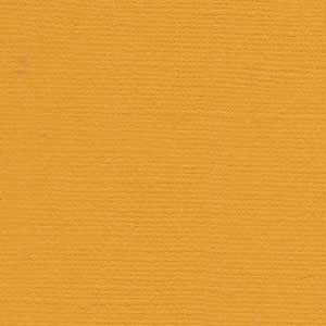 Bazzill 12x12 Candle